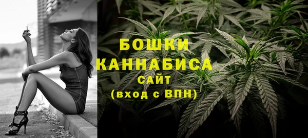 стаф Липки