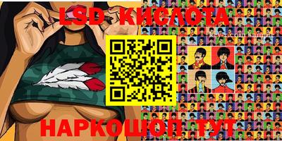 spice Кимры