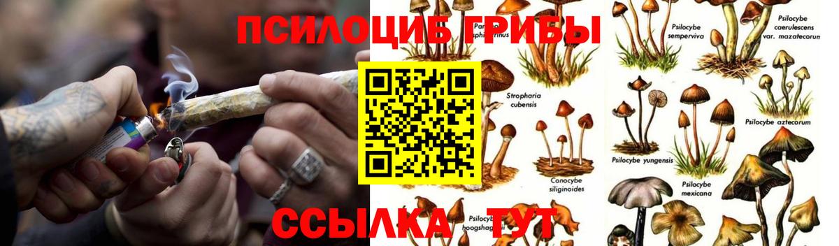 Псилоцибиновые грибы мухоморы  Вход с VPN  Советск 